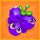 fruity megaways slot grapes symbol
