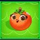 fruity megaways slot orange symbol