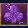 here kitty kitty slot club symbol