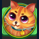 here kitty kitty slot ginger cat symbol