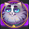here kitty kitty slot grey cat symbol