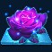marias marigolds slot flower symbol