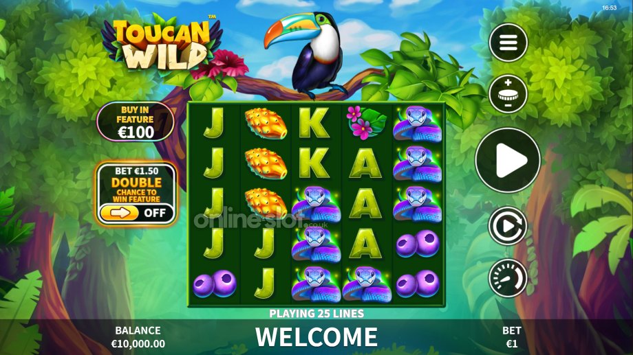 toucan wild slot base game