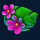 toucan wild slot flowers symbol