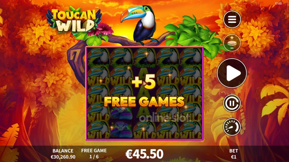 toucan wild slot free spins feature