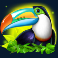 toucan wild slot scatter symbol