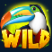 toucan wild slot special wild symbol