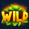toucan wild slot wild symbol