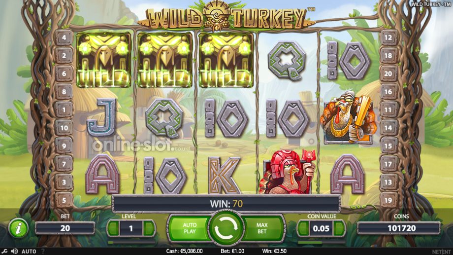 wild turkey slot base game