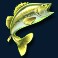 amazing catch slot green fish symbol