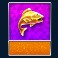 amazing catch slot money symbol