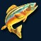 amazing catch slot orange fish symbol