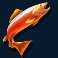 amazing catch slot red fish symbol