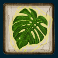 drop em slot leaf symbol