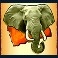 the wild life extreme slot elephant symbol
