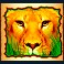 the wild life extreme slot lion symbol