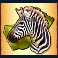 the wild life extreme slot zebra symbol