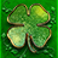 wild unicorns slot 4 leaf clover symbol