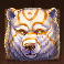 druids magic slot bear symbol