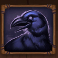 druids magic slot raven symbol