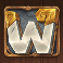 druids magic slot wild symbol