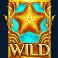 enchanted waters slot wild symbol