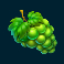 frozen tropics slot grapes symbol
