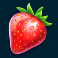 frozen tropics slot level 1 symbol