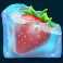 frozen tropics slot level 2 symbol