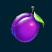 frozen tropics slot plum symbol
