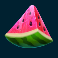 frozen tropics slot watermelon symbol