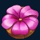 honey rush 100 slot flower symbol