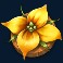 honey rush 100 slot yellow flower symbol