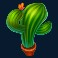hot chilli fest slot cactus symbol