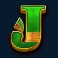john hunter and the book of tut slot j symbol