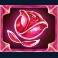 year round riches clusterbuster slot rose symbol