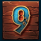 bones and bounty slot 9 symbol