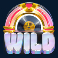 j pop slot wild box symbol
