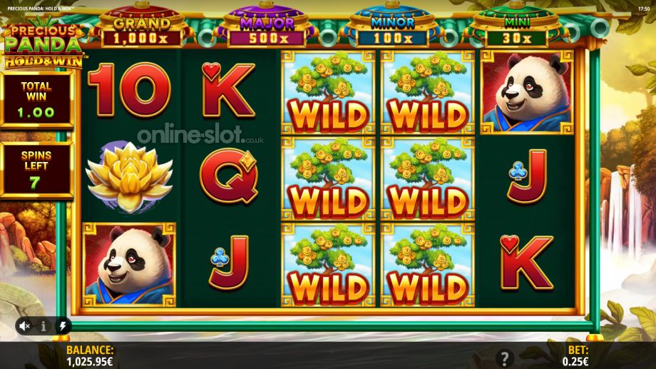 precious panda hold win slot free spins feature