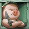 big bad wolf slot green pig symbol