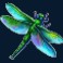 big catch bass fishing megaways slot dragonfly symbol