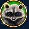 bison moon ultra link and win slot racoon symbol