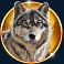 bison moon ultra link and win slot wolf symbol