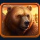 elk hunter slot bear symbol