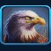 elk hunter slot eagle symbol