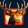 elk hunter slot elk symbol