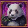 legacy of dynasties slot panda symbol