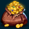 sherwood gold slot cash bag scatter symbol