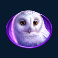 timber stacks slot owl symbol