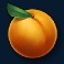 dam beavers slot peach symbol